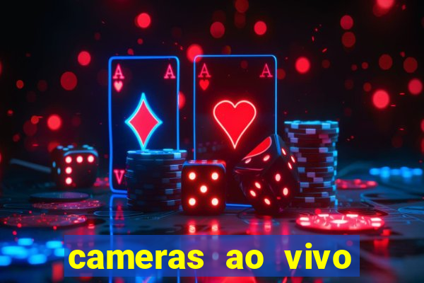 cameras ao vivo beto carrero